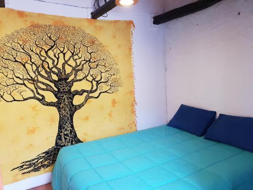 Hostal Nomad Paddle