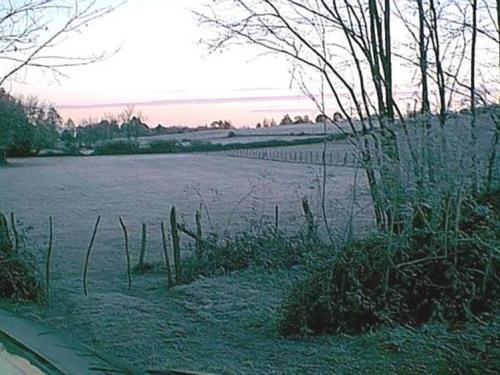 Casas Del Campo Los Arces