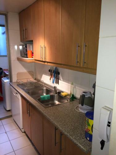 Apartamento Puc�n Junto Al Estero