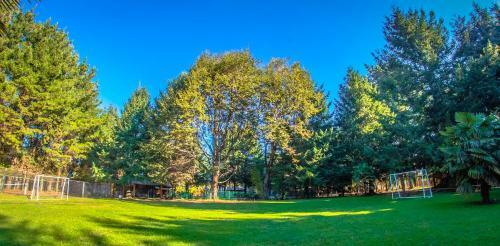 Lodge Caba�as El Dorado Puc�n