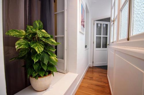 Apartamento Casa La Hierbabuena C�diz