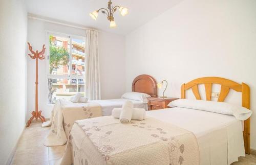 Apartamento Ermita 6