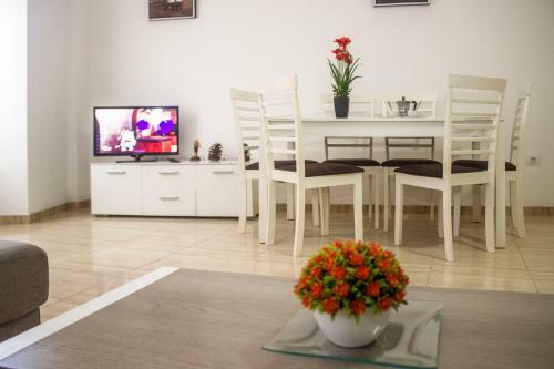 Drago Light Apartments