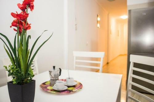 Drago Light Apartments