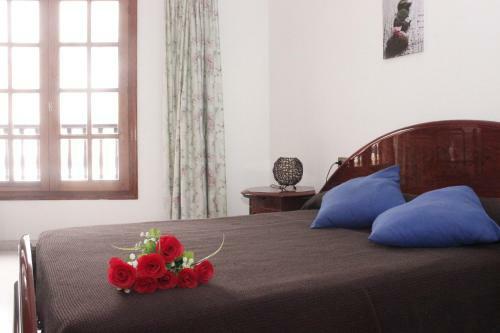 Icod Sun Apartments