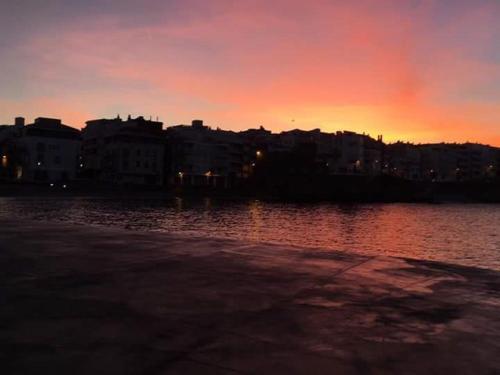Casa Rosa Port