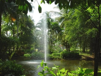Hotel Duangjitt Resort And Spa