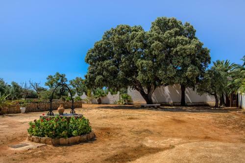 Agroturismo Recreo de San Cayetano
