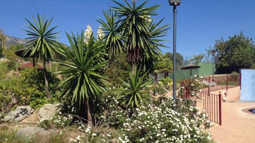 Apartamento Golden Beach 208