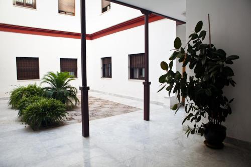 Quiet & Modern Apartment In Typical Sevilla House
