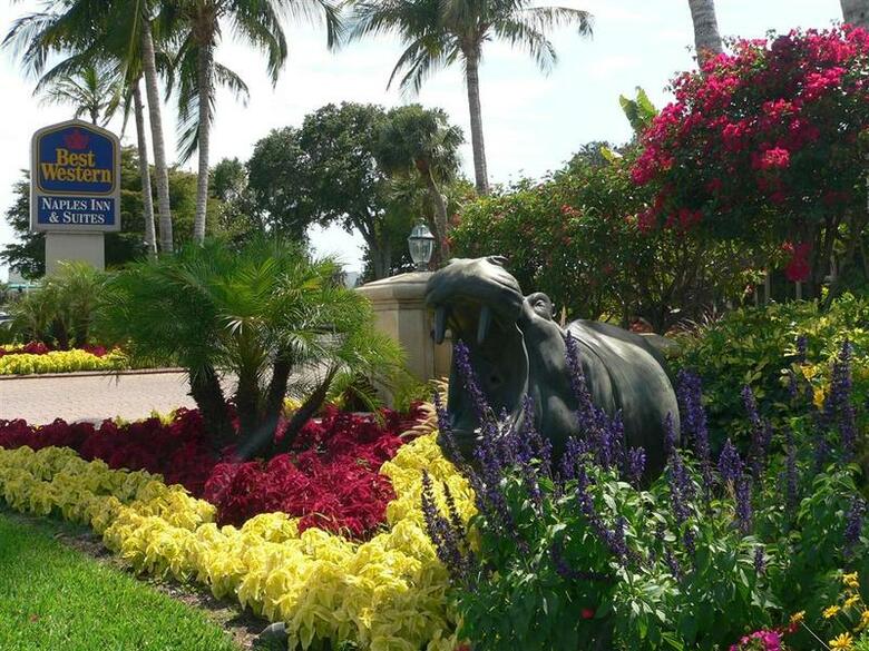 Hotel Best Western Naples Inn & Suites