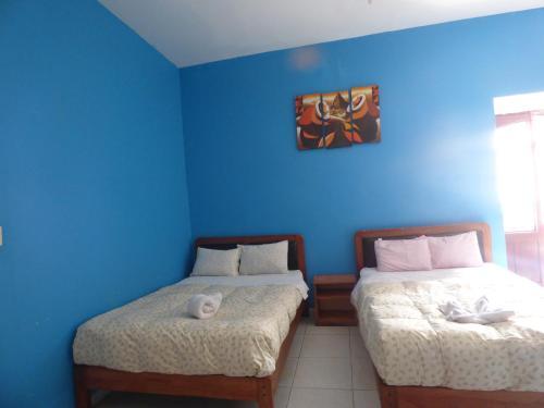 Albergue The Grasshopper Hostal Plaza de Armas
