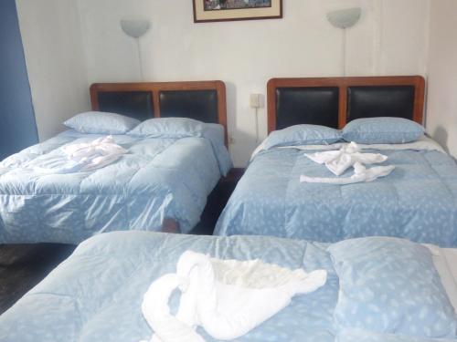 Albergue The Grasshopper Hostal Plaza de Armas