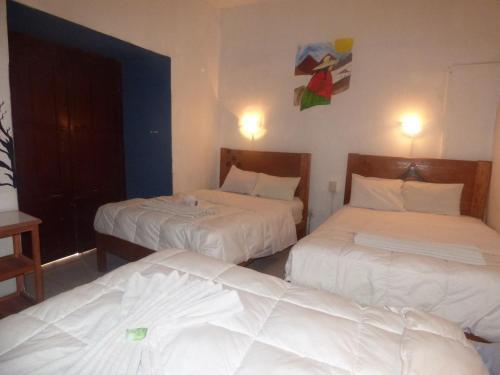 Albergue The Grasshopper Hostal Plaza de Armas