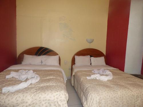 Albergue The Grasshopper Hostal Plaza de Armas