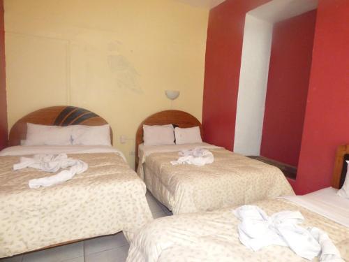 Albergue The Grasshopper Hostal Plaza de Armas
