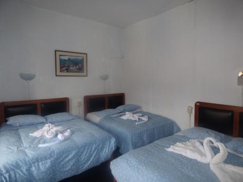 Albergue The Grasshopper Hostal Plaza de Armas