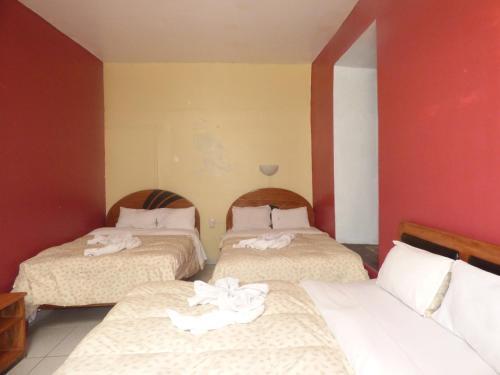 Albergue The Grasshopper Hostal Plaza de Armas