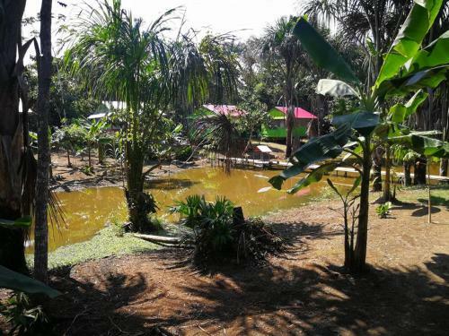Lodge Friends Of The Amazon Jungle