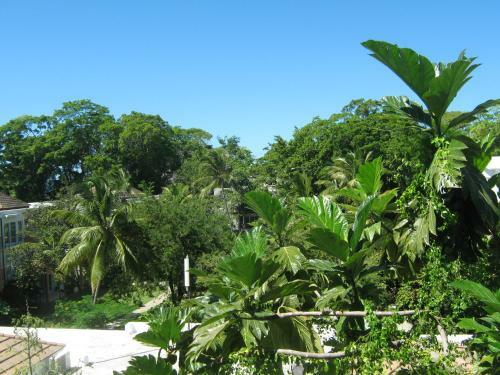 Apartamento Vacations In The Caribbean Paradise