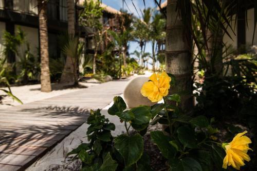 Hotel Tata Tulum - Adults Only