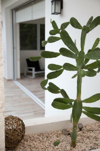 Villa Yaakunah Tulum Home