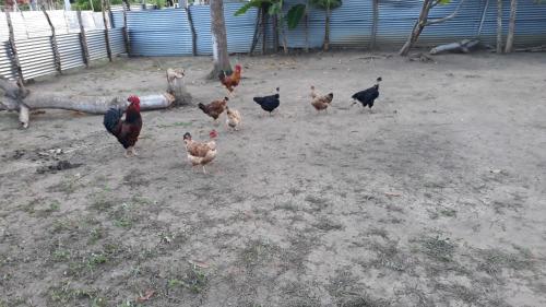 Agroturismo Caba�a Villa Gaby