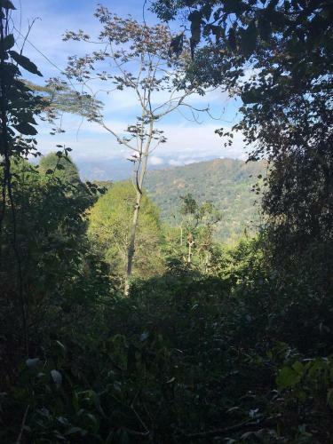 Lodge Mountain Getaway Near Bogota
