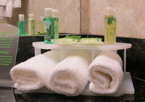Holiday Inn Hotel & Suites Mansfield-conference Ctr