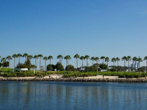 Topeka Apartment #873901 Apts