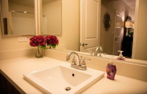 Jamboree Apartment #873907 Apts