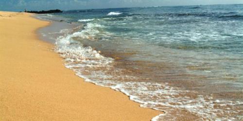 Apartamento Waipouli Beach Condo C201