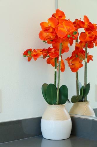 Apartamento Popular Downtown La Governor Suite