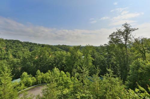 Apartamento Pinnacle View 7b - Three Bedroom