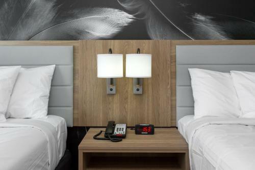 Hotel Ninety Five - Jfk Airport