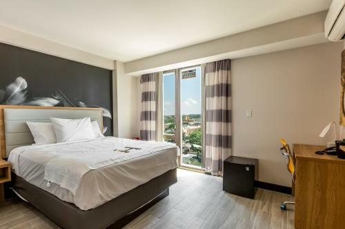 Hotel Ninety Five - Jfk Airport