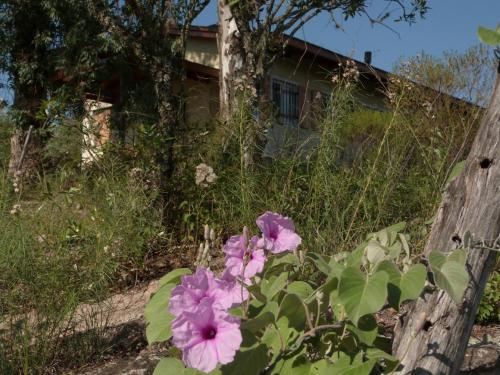 Lodge El Pinar - Hospedaje Serrano