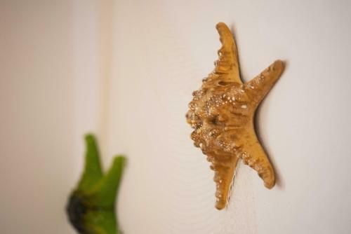Bed & Breakfast O Quintal Guesthouse