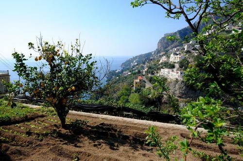 Apartamento Amalfi Natura