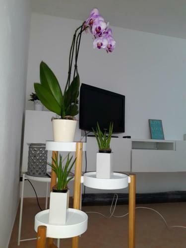 Apartamento Dimore Posidonia