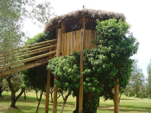 Agroturismo Agriturismo Il Vignone