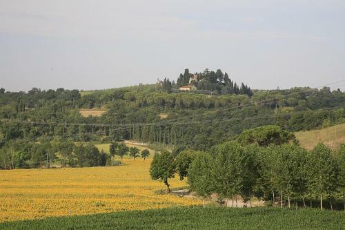 Castelfiorentino Villa Sleeps 6 Pool