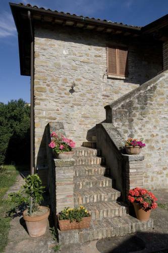 Agroturismo Agriturismo Il Cucciolo