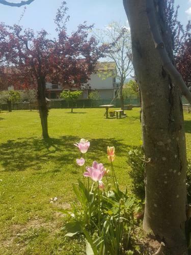 Apartamento Emanuela