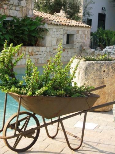 Masseria Asciano