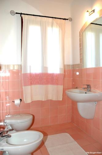 Le Bouganvillae