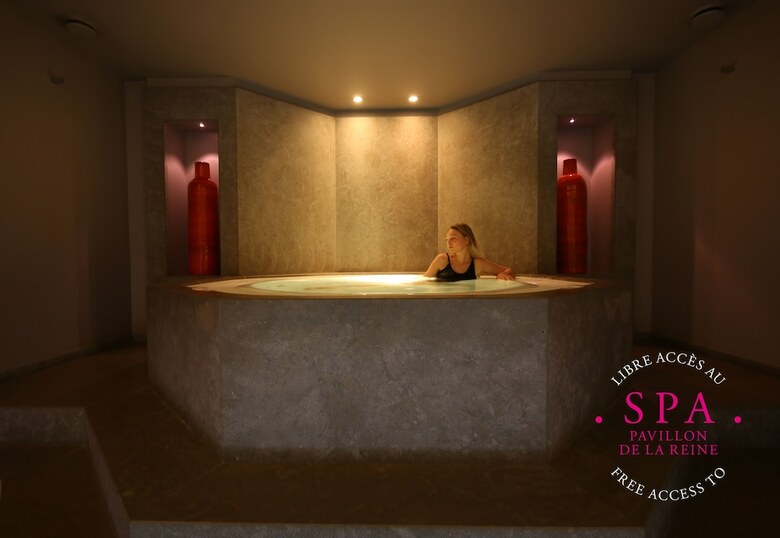 Hotel Du Petit Moulin