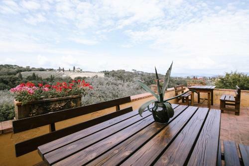Apartamento Agriturismo Il Pintello