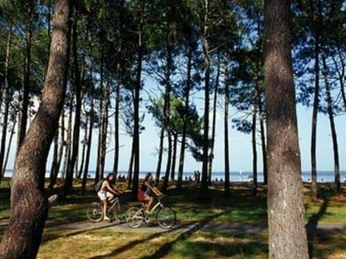House Le Windsurf