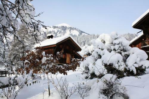 Apartamento Chalet 5 Pers. Vue Montagne 70038